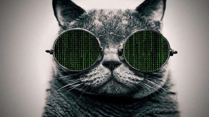 Caddy 和 Nginx 比有哪些优点和缺点?